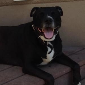 Meet your Posher, Warren